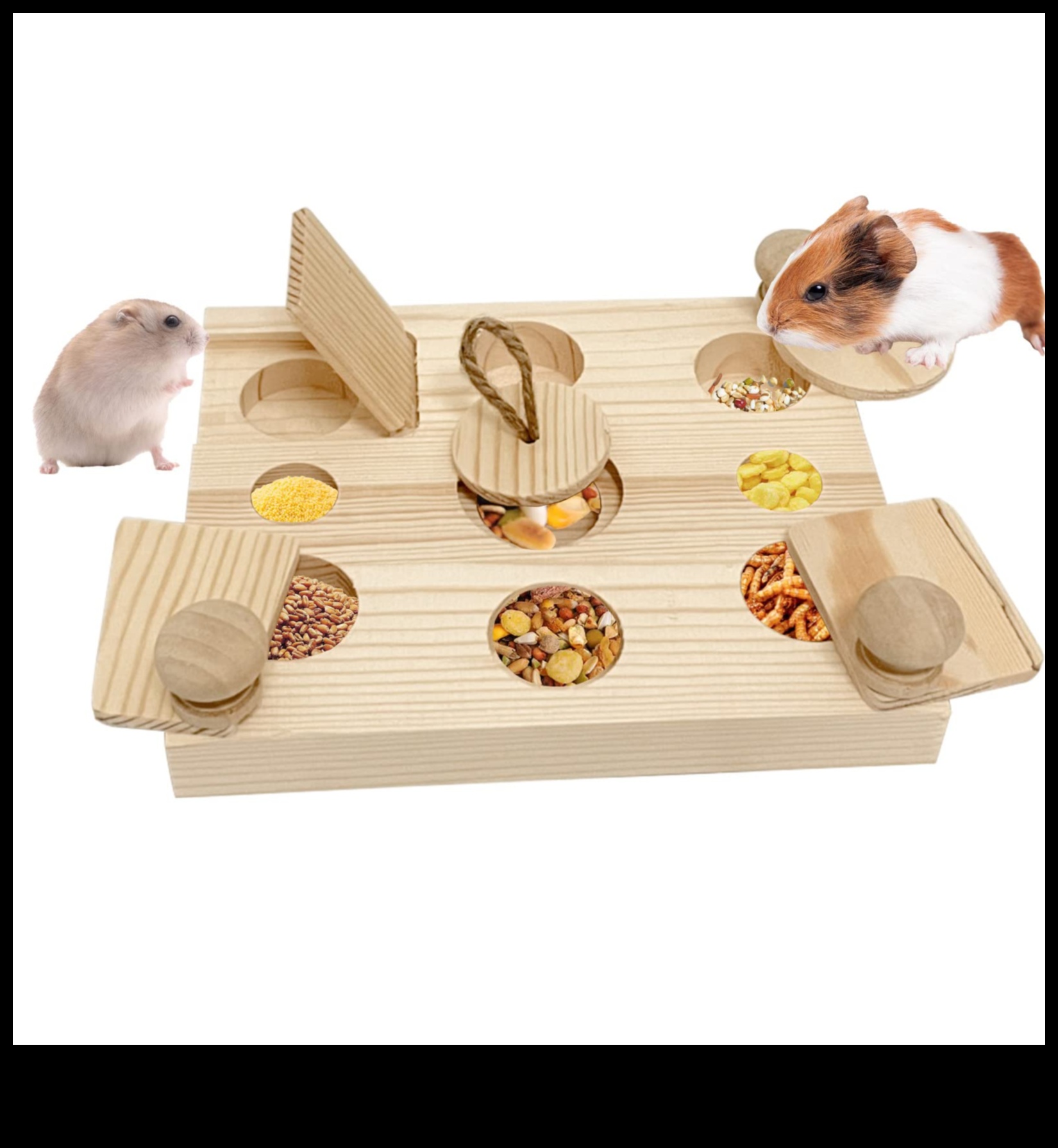 Idei de îmbogățire a hamsterilor Continuare Puzzle-uri și jocuri de creier DIY 3 Idei de îmbogățire a hamsterilor Continuare: Puzzle-uri și jocuri de creier