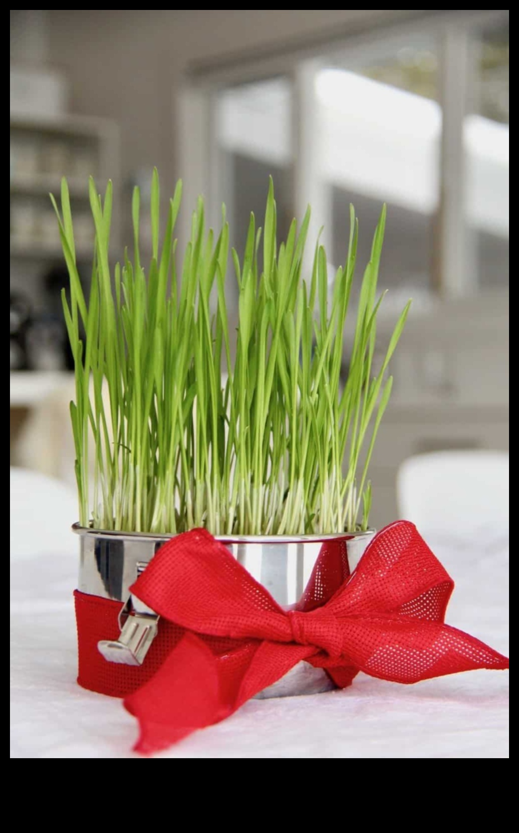 Dragoste verde: Cadouri de grădinărit pentru Valentines pasionați de natură