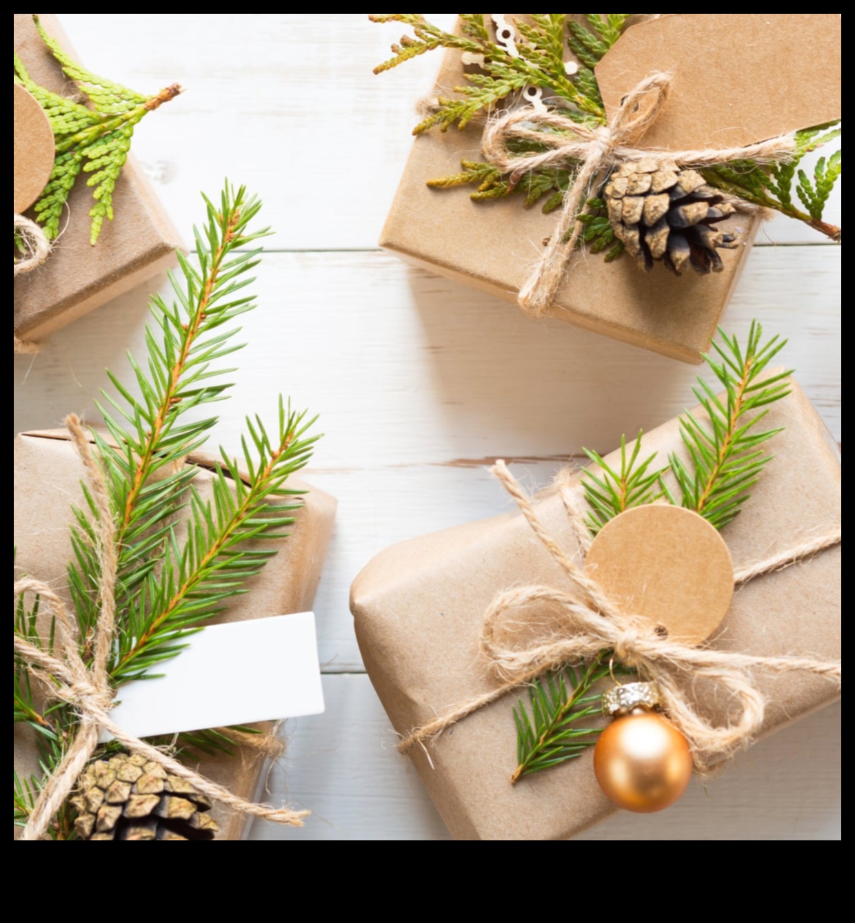 Green Guardian Sustainable Gifts for the Earth Advocate 3 Green Guardian: Sustainable Gifts for the Earth Advocate