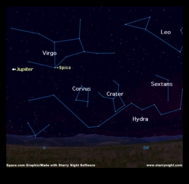 Păsări și astronomie: mitologia constelațiilor inspirată de păsări
