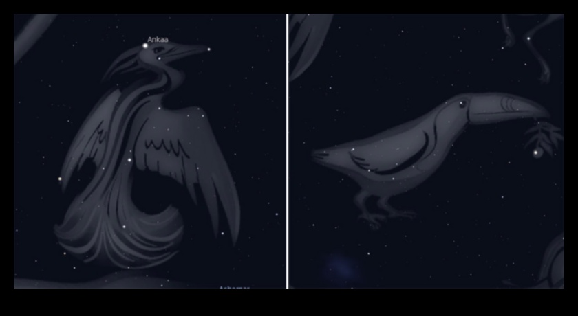 Păsări și astronomie: mitologia constelațiilor inspirată de păsări