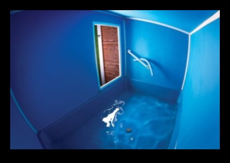 Minuni ale apei: Antrenamente de sarcină acvatice pentru fitness blând