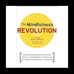 Revoluția Mindful: Transformarea vieții prin puterea practicilor prezente