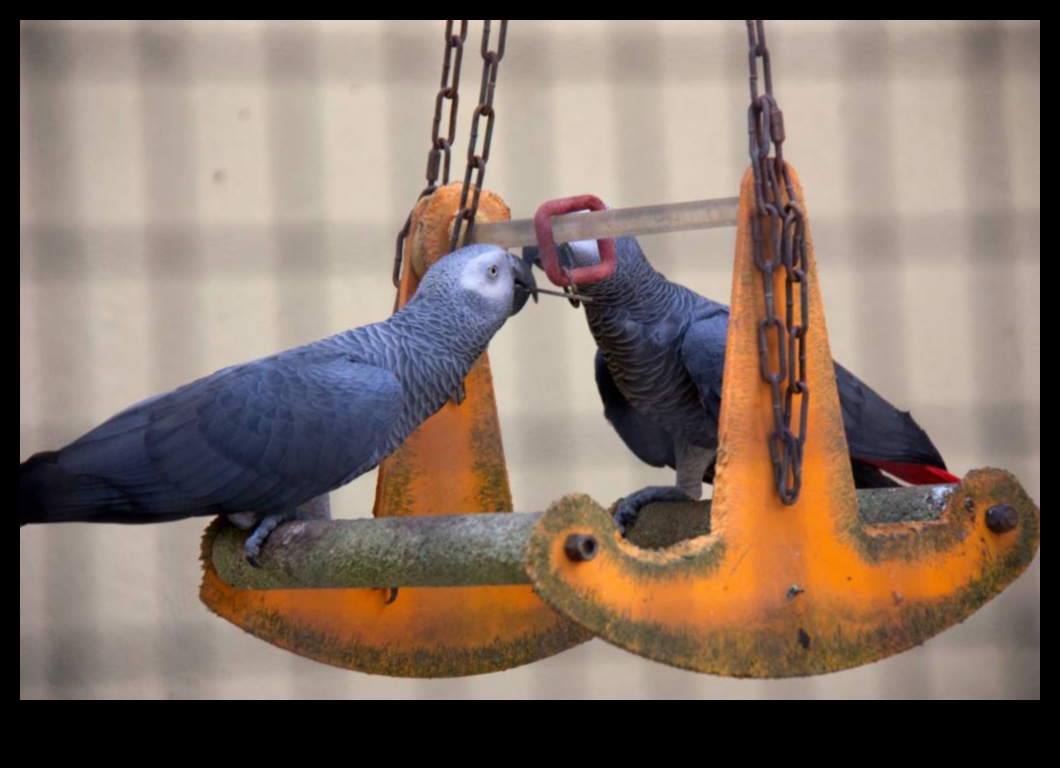 Altruismul aviar Acte de bunătate printre păsări 2 Altruismul aviar: acte de bunătate printre păsări