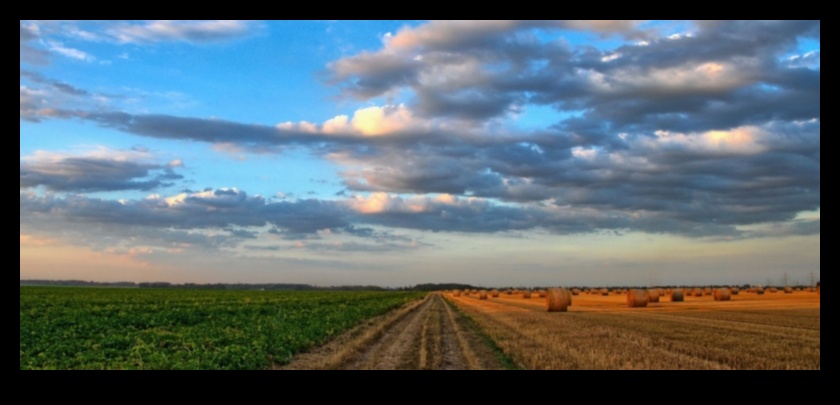 Frontiere inovatoare: modelarea peisajului tehnologiei verzi