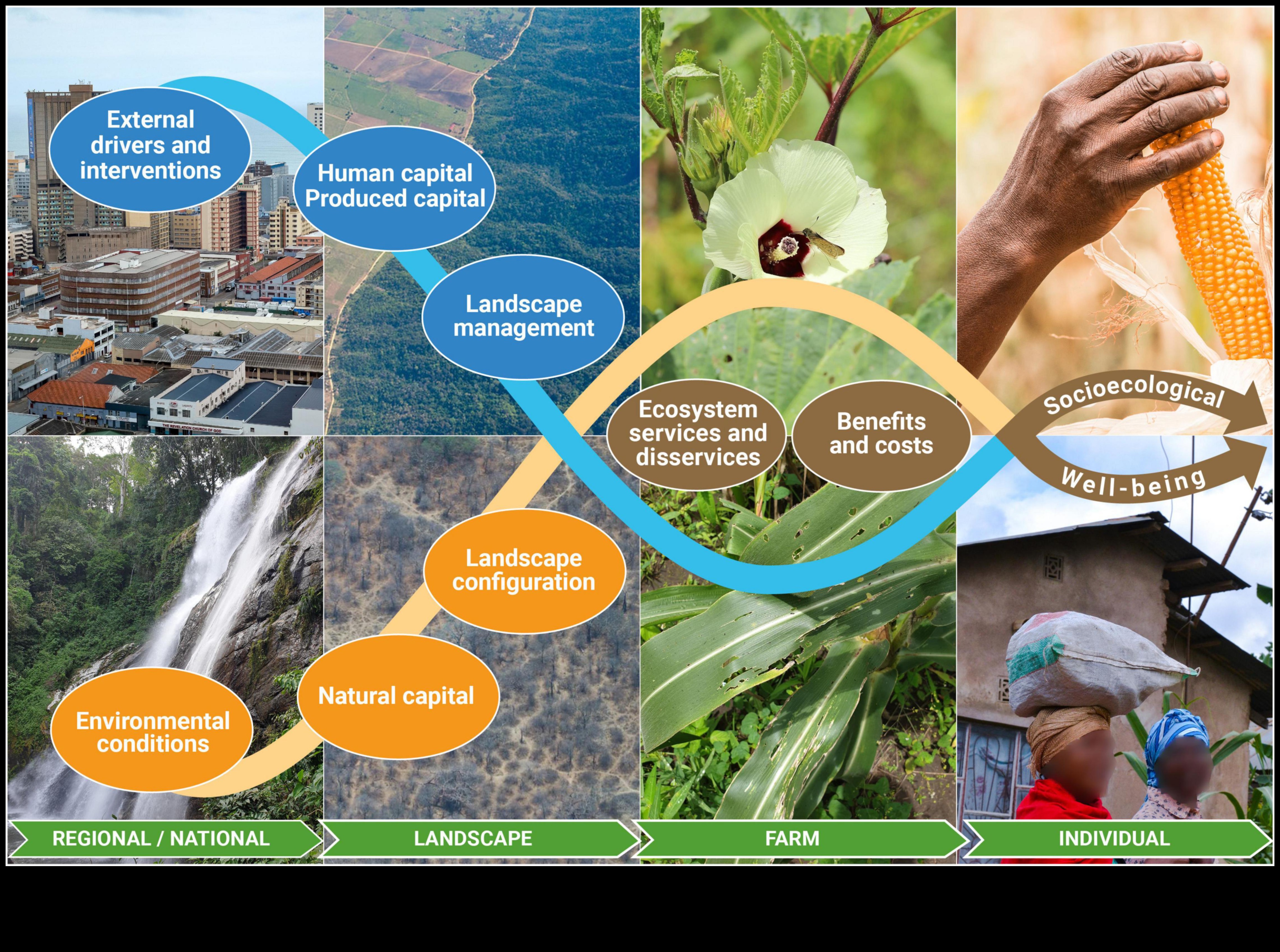 Frontiere inovatoare: modelarea peisajului tehnologiei verzi