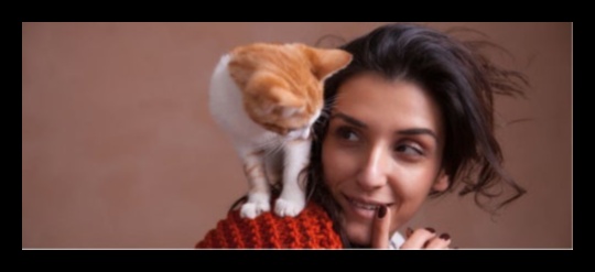 Compania pisicilor Construirea unei legături puternice cu prietenul tău felin 3 Compania pisicilor: construiește o legătură puternică cu prietenul tău felin