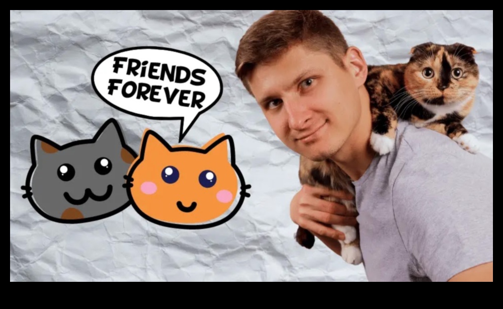 Compania pisicilor Construirea unei legături puternice cu prietenul tău felin 5 Compania pisicilor: construiește o legătură puternică cu prietenul tău felin