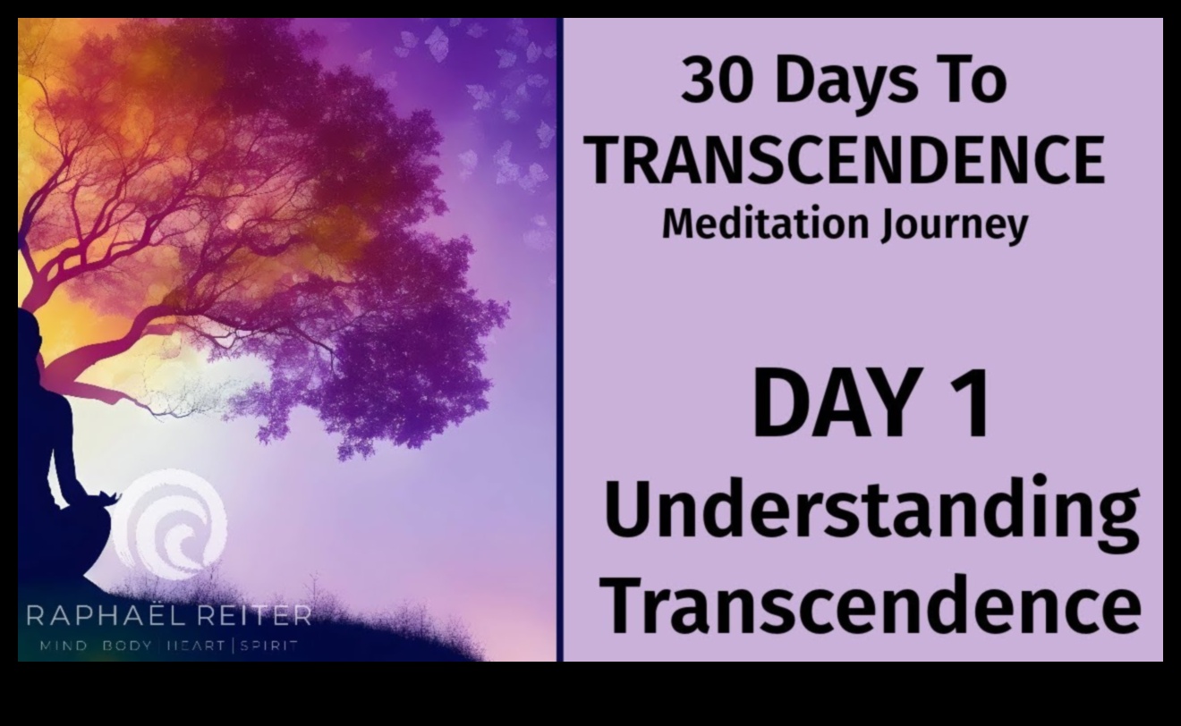 Mindful Transcendence: Călătoria Mindfulness