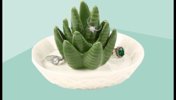 Dragoste verde: Cadouri de grădinărit pentru Valentines pasionați de natură