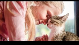 Compania pisicilor: construiește o legătură puternică cu prietenul tău felin