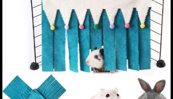 Hideaway pentru hamsteri: construiește un refugiu confortabil pentru animalul tău de companie