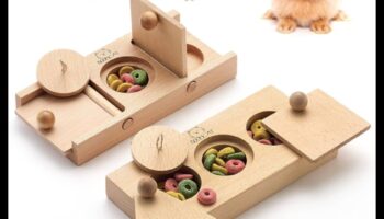 Idei de îmbogățire a hamsterilor Continuare: Puzzle-uri și jocuri de creier