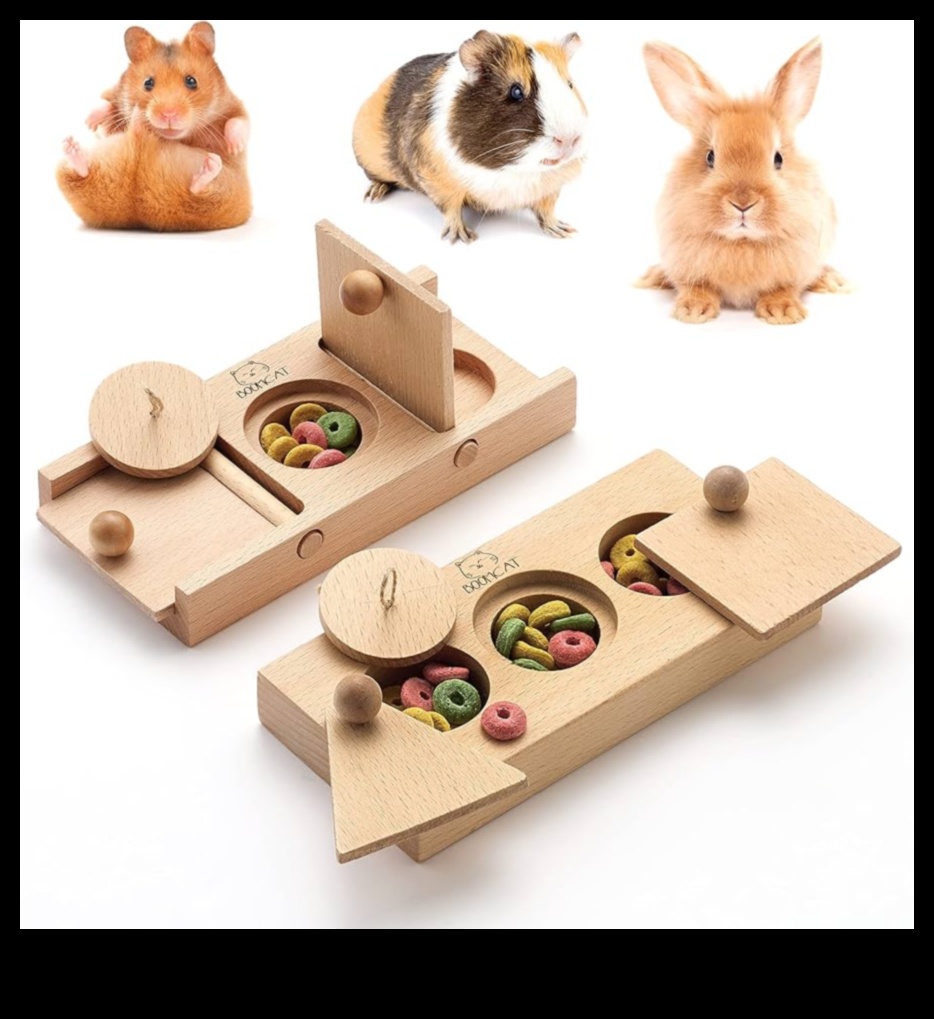 Idei de îmbogățire a hamsterilor Continuare Puzzle-uri și jocuri de creier DIY 1 Idei de îmbogățire a hamsterilor Continuare: Puzzle-uri și jocuri de creier
