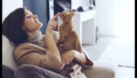 Kitty Comfort: Crearea unui mediu calm pentru pisica ta