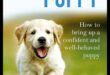 Creșterea unui cățeluș: creșterea unui însoțitor canin bine comportat
