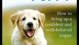 Creșterea unui cățeluș: creșterea unui însoțitor canin bine comportat