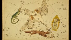 Păsări și astronomie: mitologia constelațiilor inspirată de păsări
