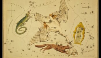 Păsări și astronomie: mitologia constelațiilor inspirată de păsări