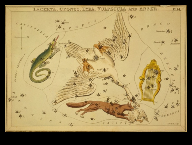 Păsări și astronomie: mitologia constelațiilor inspirată de păsări