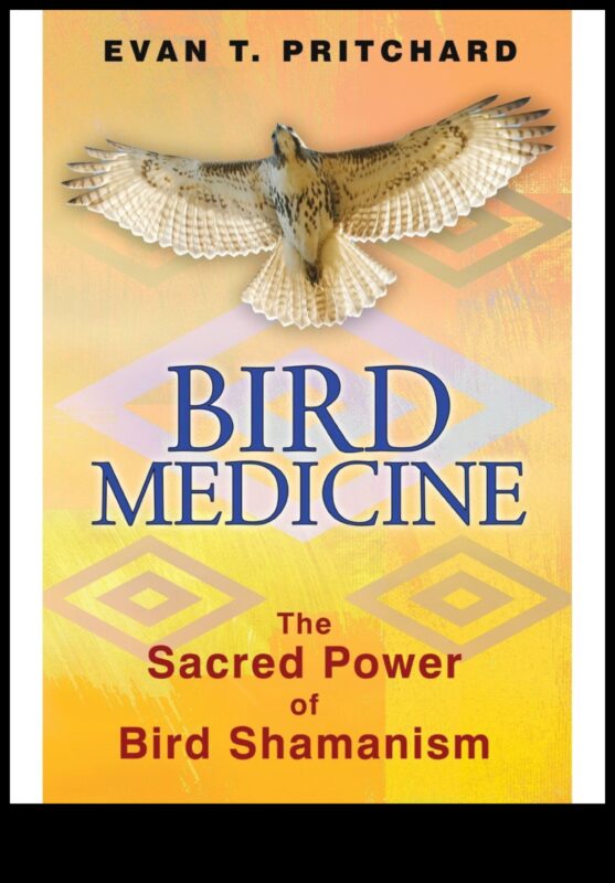 Păsări și medicina populară Continuare: utilizări și credințe istorice