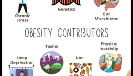 Sărbătoare de fitness funcțional O abordare echilibrată a pierderii în ostilitate 5 Sărbătoare de fitness funcțional: activități plăcute pentru controlul eficient al greutății