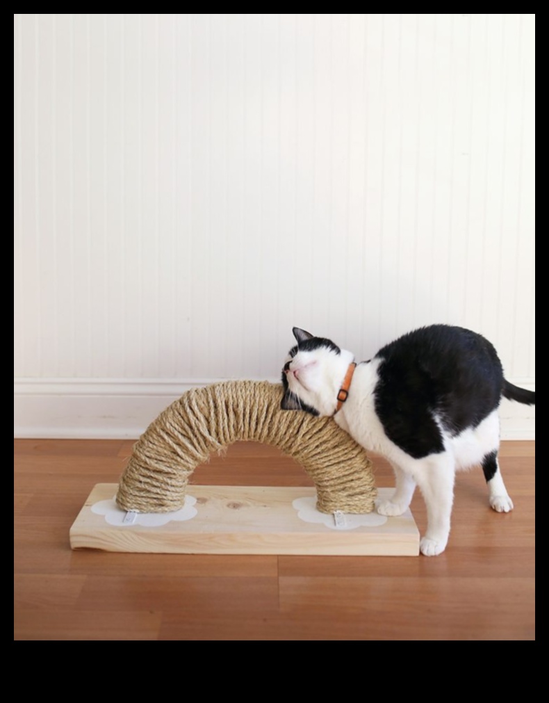 Stâlp de zgâriat pisici DIY: Creați un design elegant și funcțional