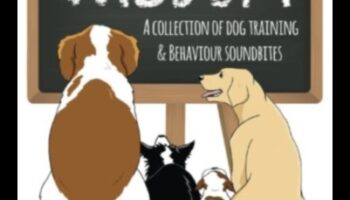 Woof Wisdom: Navigarea tehnicilor de dresaj de câini